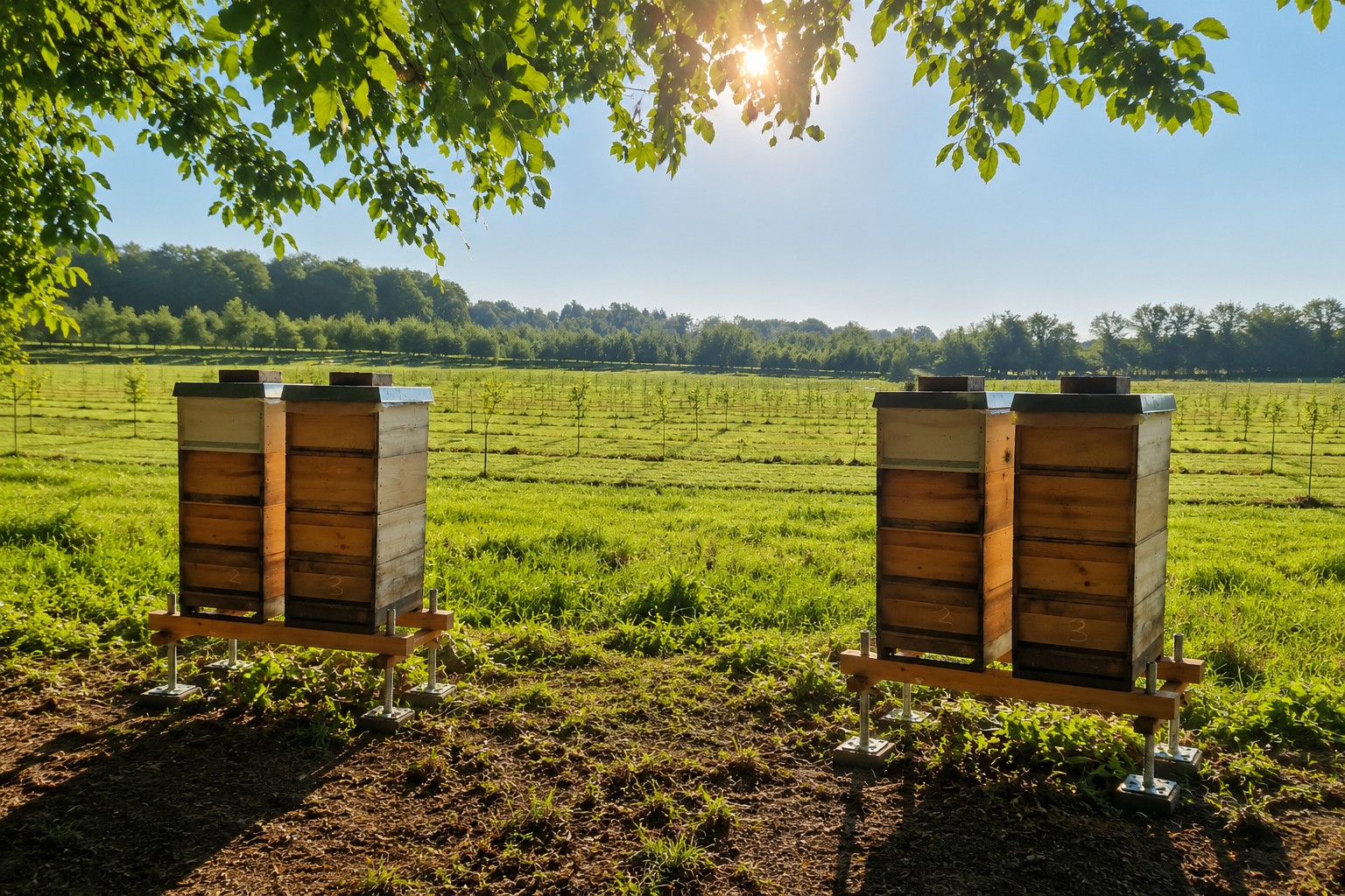 Bienenstand der Familie Walker